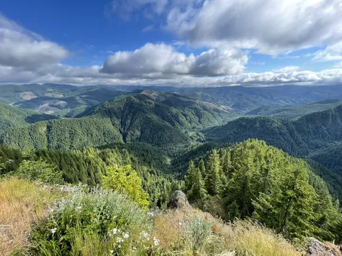 Best hikes tillamook state sale forest