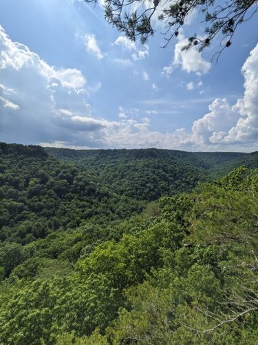 are dogs allowed at south cumberland state park