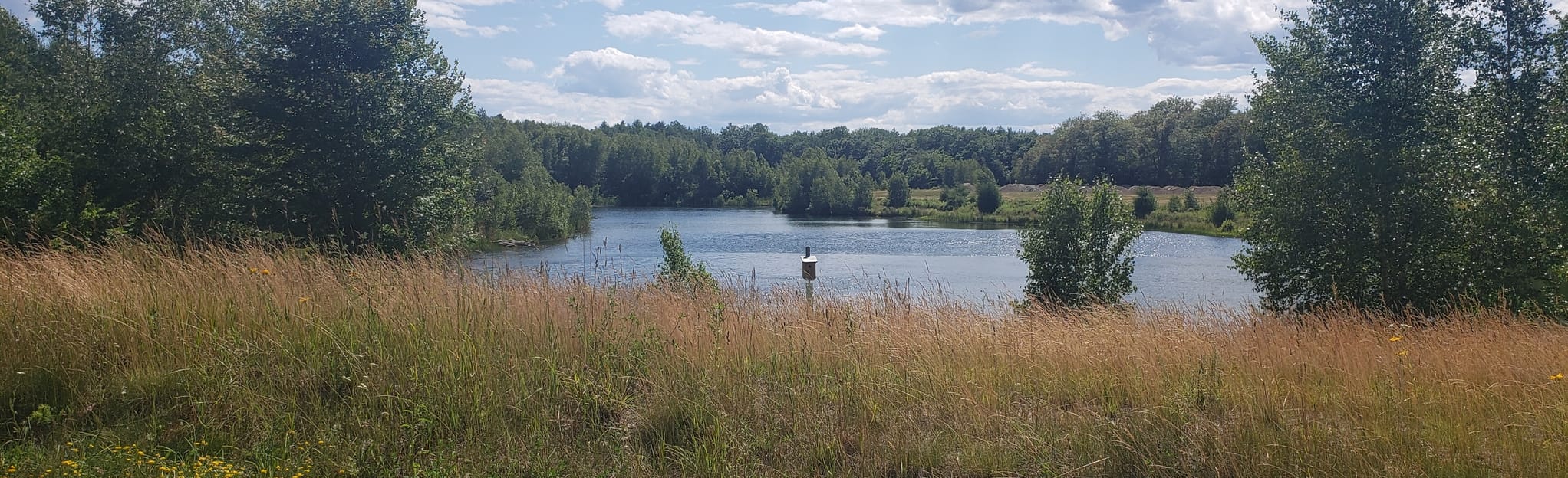 Topsham MTB Trail 25 Fotos Maine AllTrails