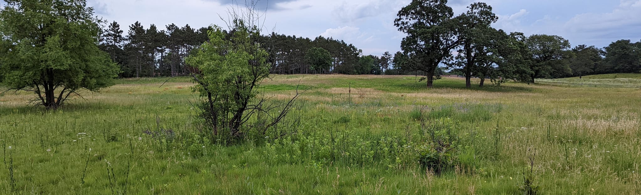 Bunker Hills Loop Map, Guide Minnesota AllTrails