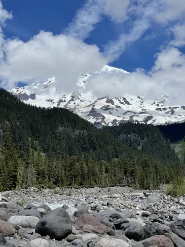 3 Easy Hikes in Mount Rainier National Park — Hiking for Donuts