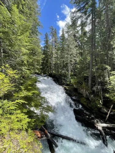 10 Best Waterfall Trails in Mount Rainier National Park | AllTrails