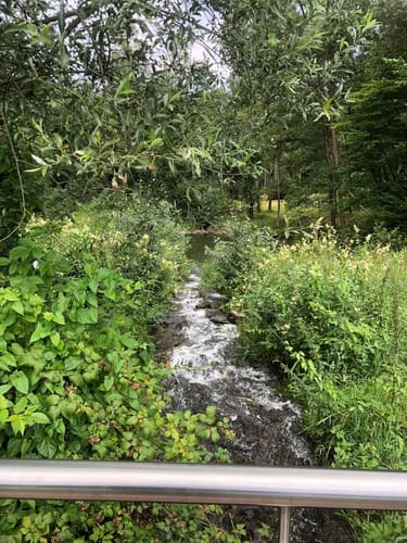 Heigenbrücken - Glücksweg - Grimmenwiesensee