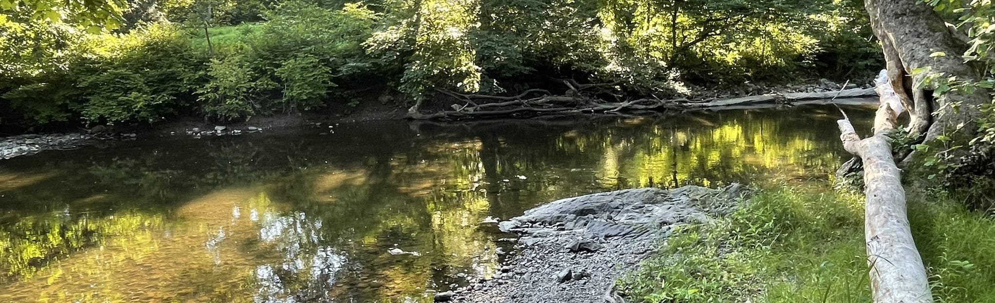 Quarry Trail 24 Reviews, Map New York AllTrails