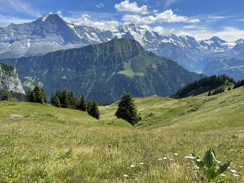 10 Best Trails and Hikes in Interlaken | AllTrails