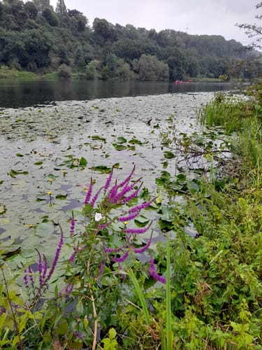 Bochum Dahlhausen und Ruhr Rundweg