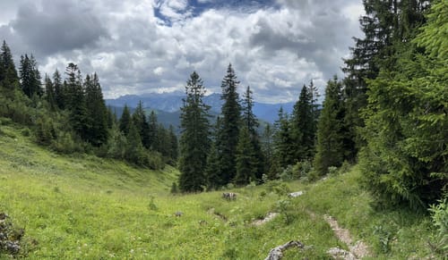 Saalachsee zum Predigtstuhl via Waxriessteig