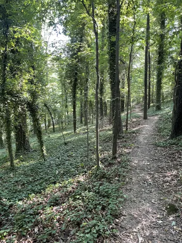 mountain bike trails little rock