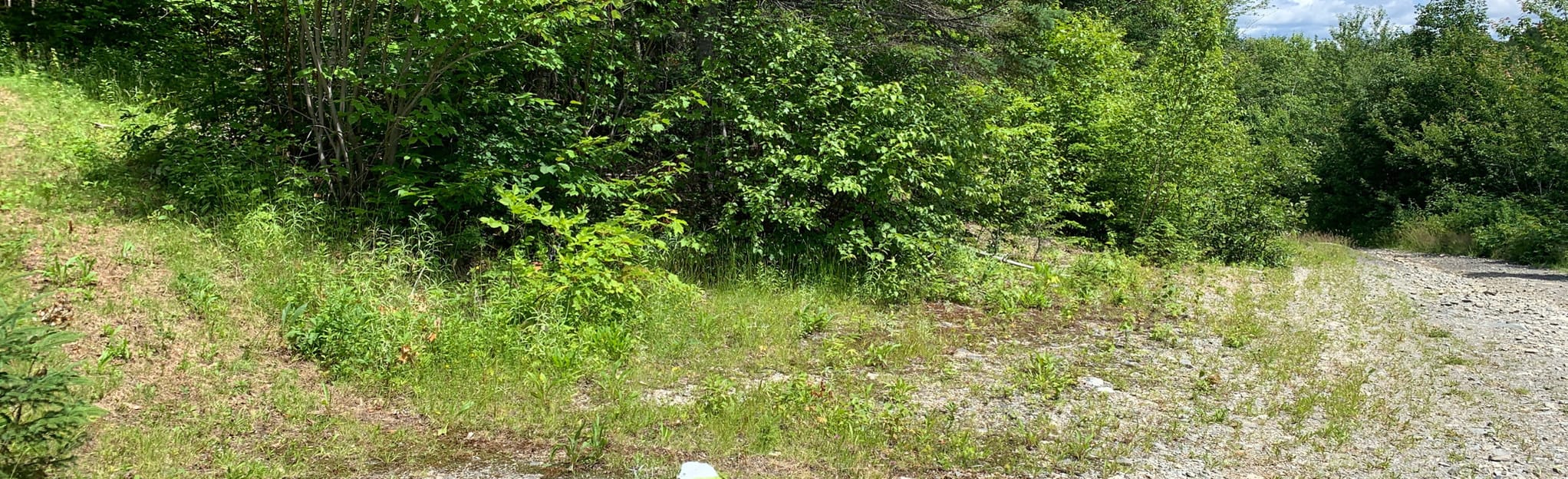 AllTrails Madawaska and Saint Jean Trails Loop 4 Reviews, Map New Brunswick, Canada