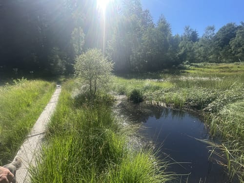 Rundwanderweg Olfen 1: Rotes-Wasser-Weg