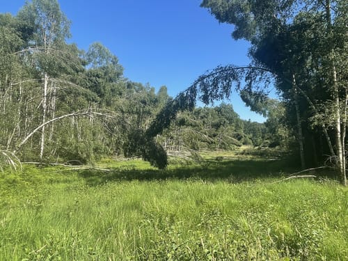 Rundwanderweg Olfen 1: Rotes-Wasser-Weg