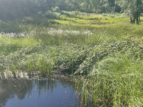 Rundwanderweg Olfen 1: Rotes-Wasser-Weg