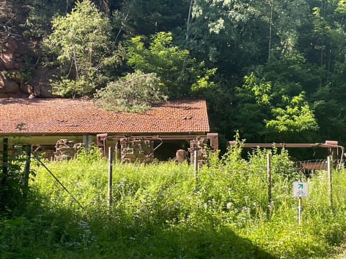 Rundwanderweg Olfen 1: Rotes-Wasser-Weg