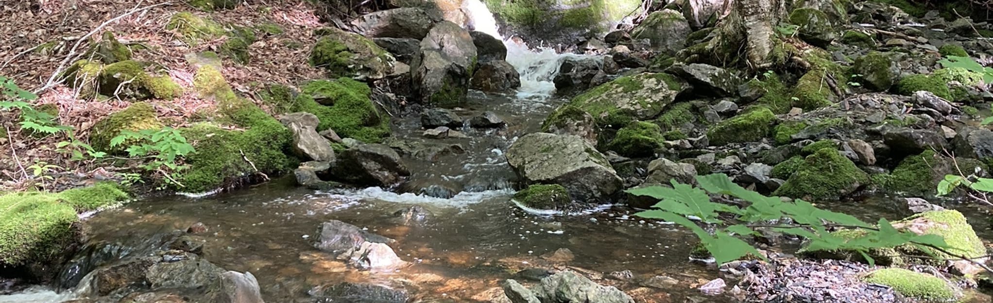 Ironville Falls, Nova Scotia, Canada 82 Reviews, Map AllTrails