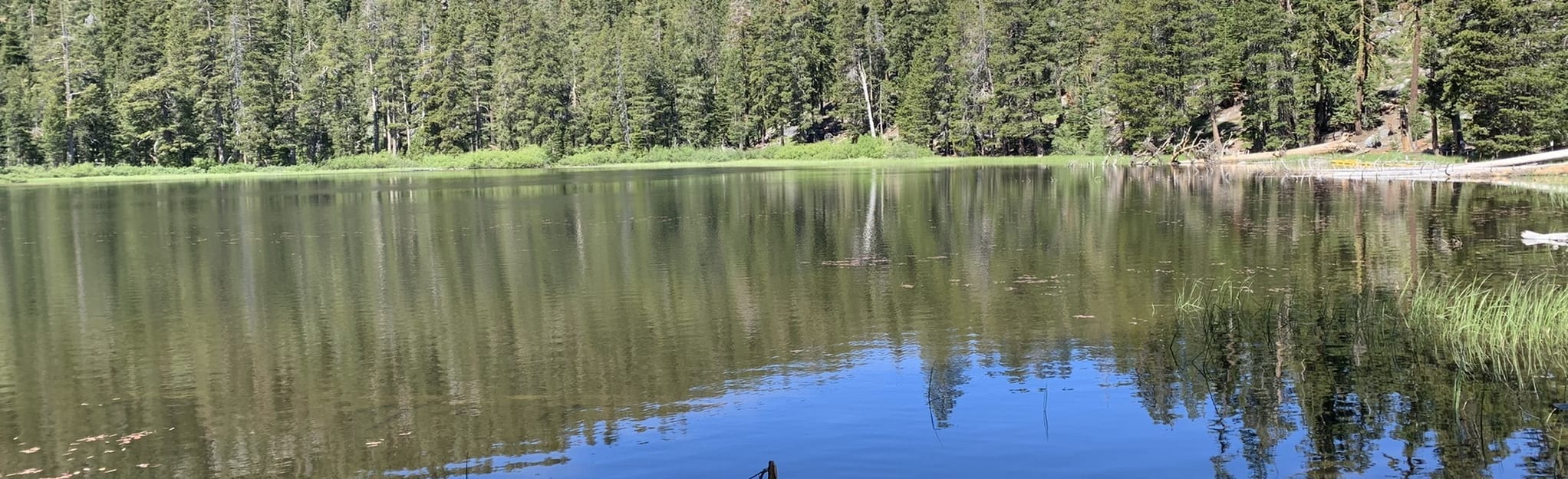 Tahoe Rim and Watson Lake loop 111 Reviews, Map California AllTrails