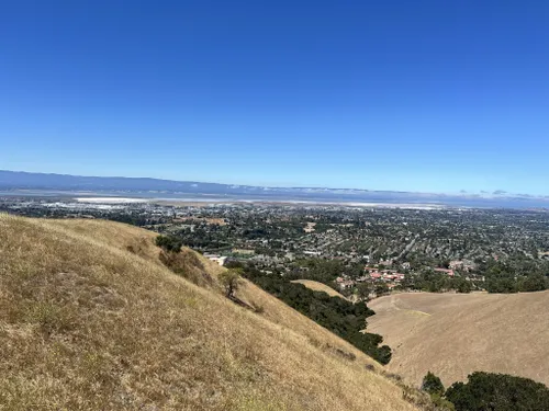 10 Best Hikes and Trails in Mission Peak Regional Preserve