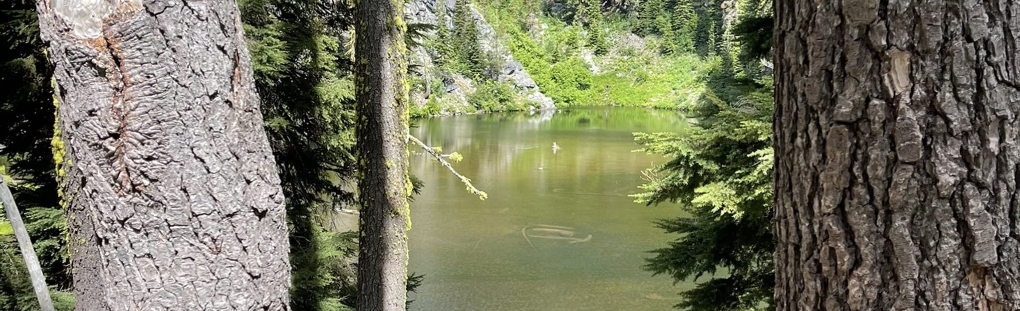 Kidder Creek Trailhead to Pacific Crest Trail 12 Reviews, Map