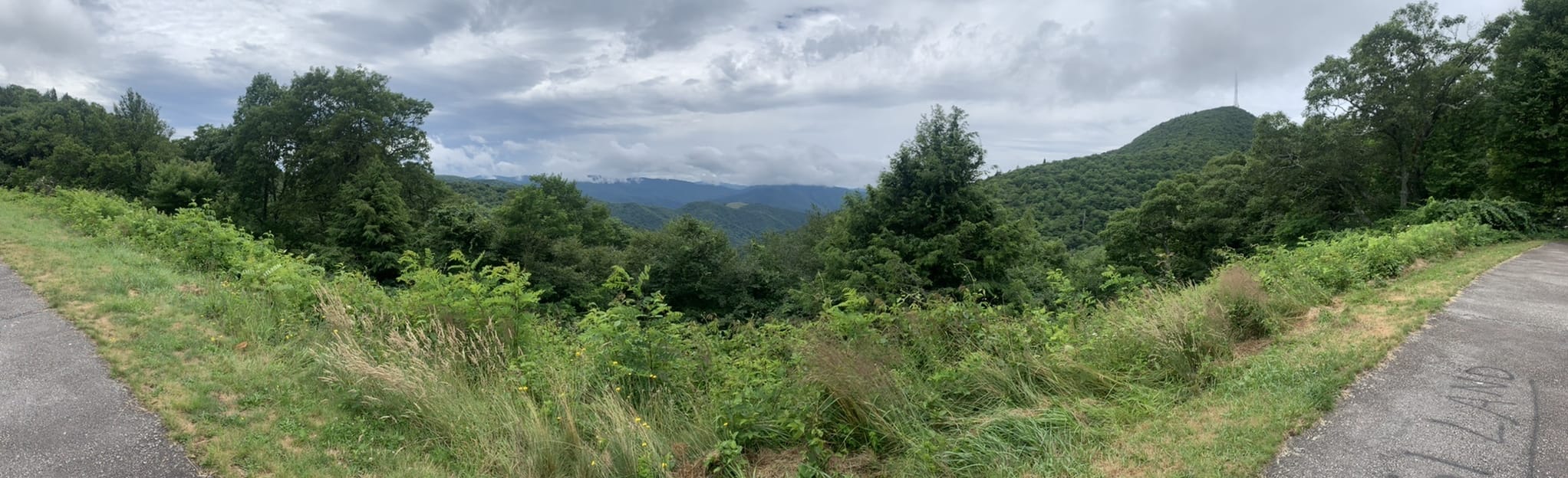Mount Pisgah Trail 1395 Reviews - EyJidWNrZXQiOiJhc3NldHMuYWxsdHJhaWxzLmNvbSIsImtleSI6InVwbG9hZHMvcGhvdG8vaW1hZ2UvNDkyOTA4MzUvNTQzNGEzNzA3YWViMTczMGIzMzQwNjAwMjkzYWM0NjYuanBnIiwiZWRpdHMiOnsidG9Gb3JtYXQiOiJqcGVnIiwicmVzaXplIjp7IndpZHRoIjoyMDQ0LCJoZWlnaHQiOjYyNCwiZml0IjoiY292ZXIifSwicm90YXRlIjpudWxsLCJqcGVnIjp7InRyZWxsaXNRdWFudGlzYXRpb24iOnRydWUsIm92ZXJzaG9vdERlcmluZ2luZyI6dHJ1ZSwib3B0aW1pc2VTY2FucyI6dHJ1ZSwicXVhbnRpc2F0aW9uVGFibGUiOjN9fX0=