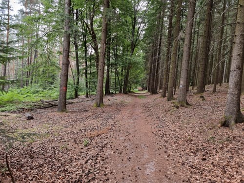 Lärmfeuer-Weg (Route 3)