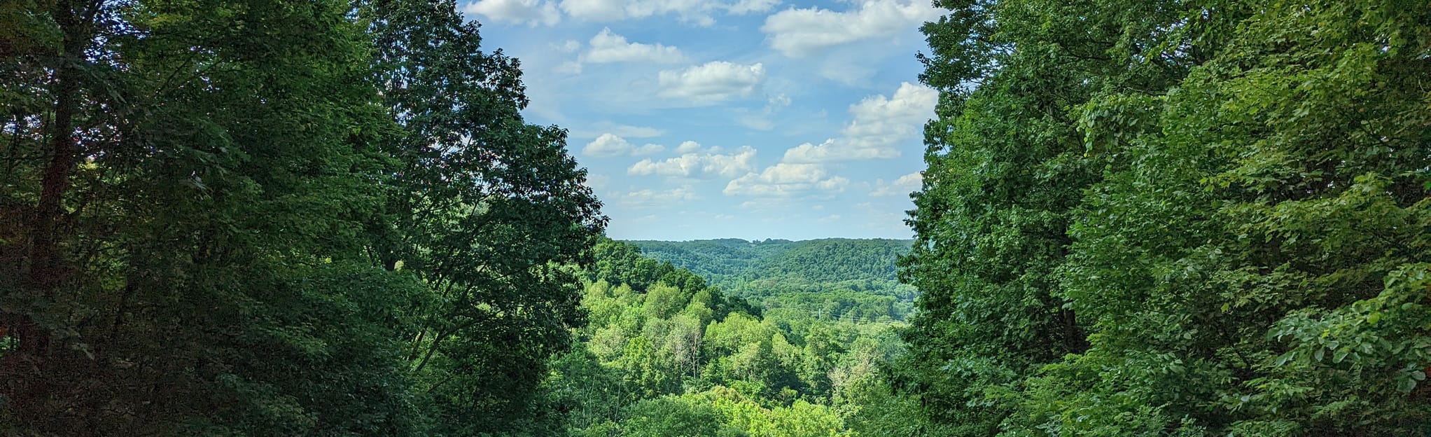 North Country Trail Watts Mill Rd to Booth Hill Map, Guide