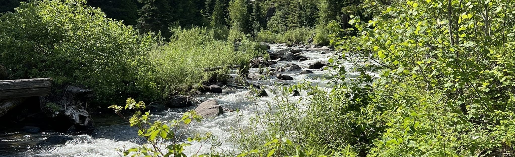 Fish Creek Trail 13 Reviews, Map Idaho AllTrails