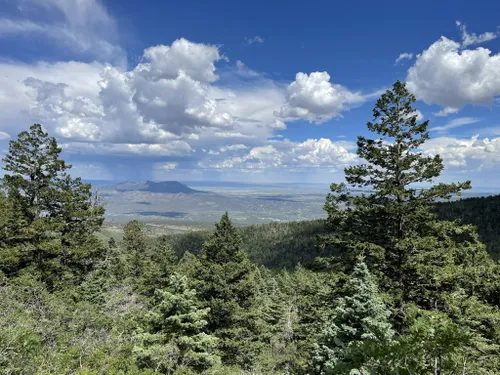 10 Best Waterfall Trails in Sandia Mountain Wilderness | AllTrails