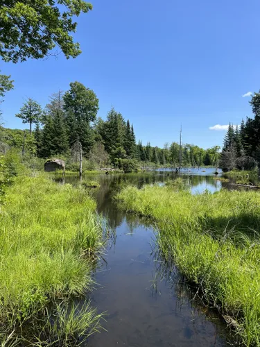 is gatineau park dog friendly