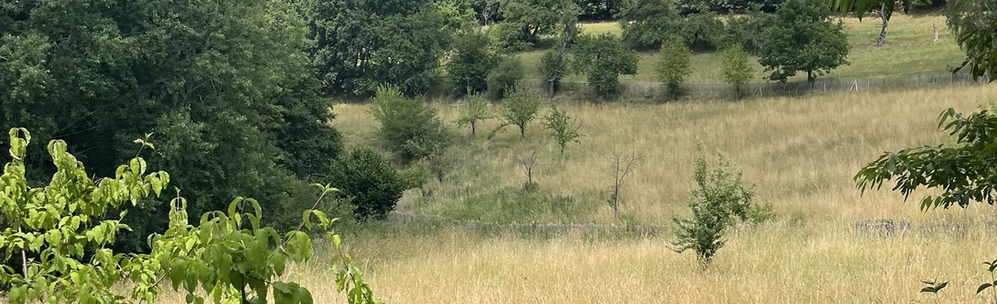 Auf den Borsberg 50 Fotos Sachsen, Deutschland Wandern AllTrails