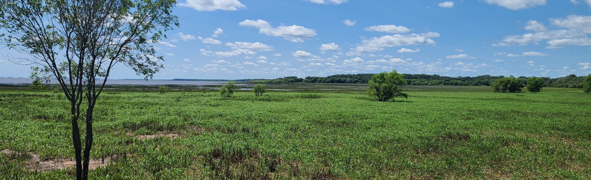 Pointe de Yamachiche 54 Reviews, Map Quebec, Canada AllTrails