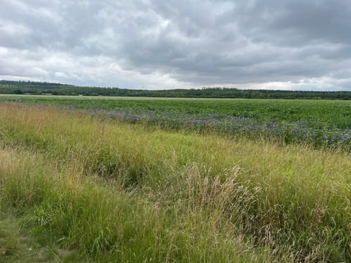 Kerpen Rundweg K10