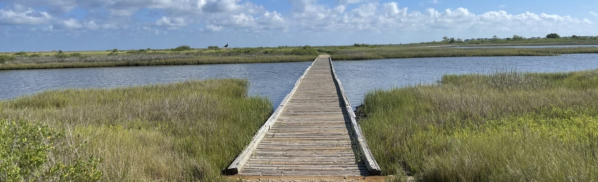 Oak Mott, Eskimo Curlew, and Clapper Rail Loop 166 Reviews, Map