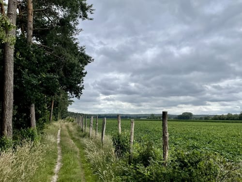 Materborn: Gipfelroute im Reichswald
