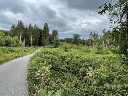 Materborn: Gipfelroute im Reichswald