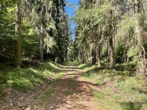 Rätselhafte Zeitzeichen - Mönchsweg 1 in Hochspeyer