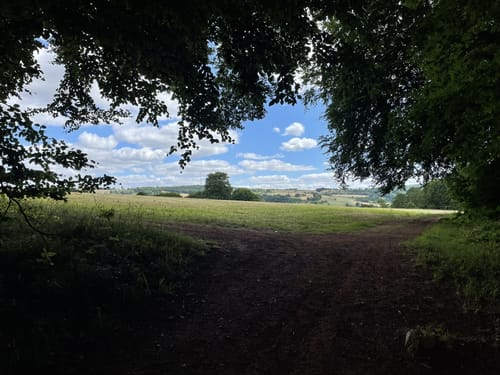 Rundwanderweg Heidenheim 5