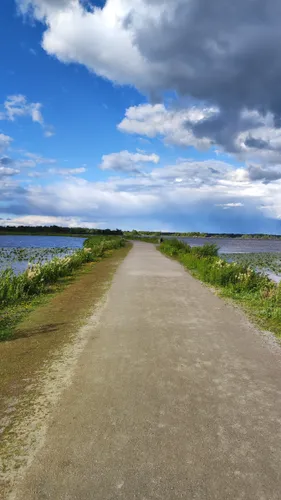 Best Hikes and Trails in Oset och Rynningevikens naturreservat | AllTrails