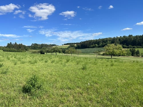 Um Mittelberg und Wasenhof