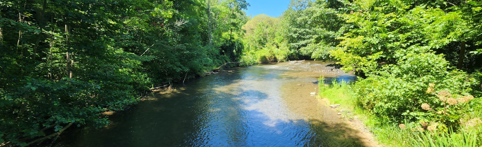 Spring Creek Canyon Trail: 387 Reviews, Map - Pennsylvania | AllTrails