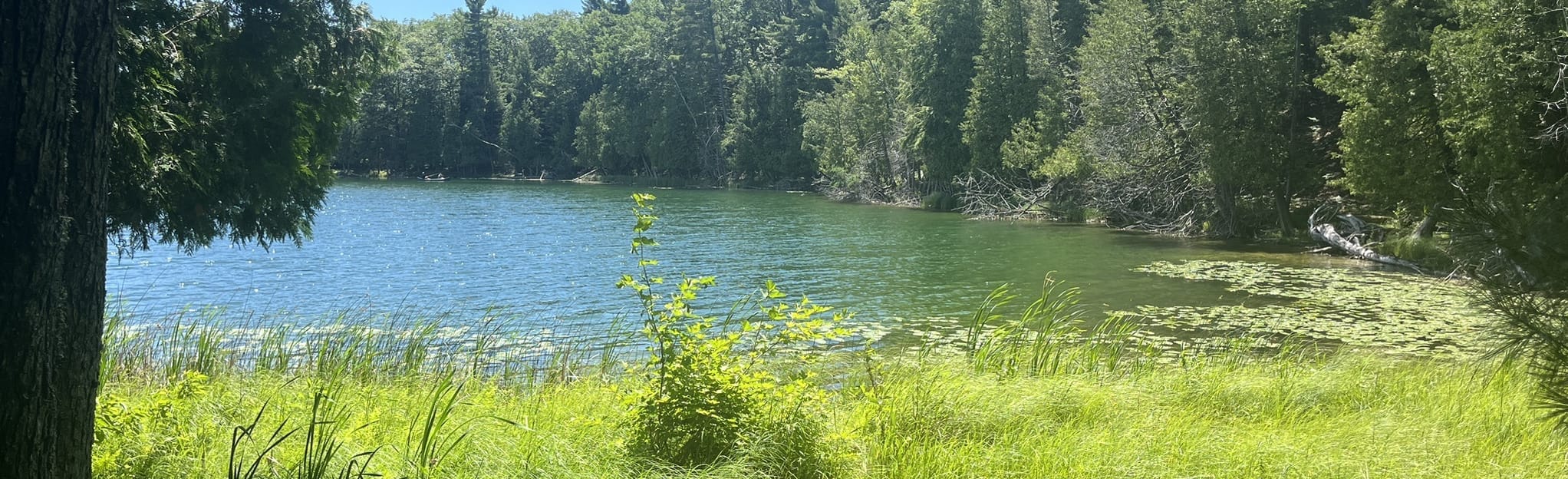 Lake Michigan Lookout via Bass Lake Loop 328 Fotos Michigan AllTrails