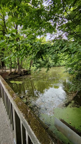 Witte Veen 3 (Ahaus Nr. 14)