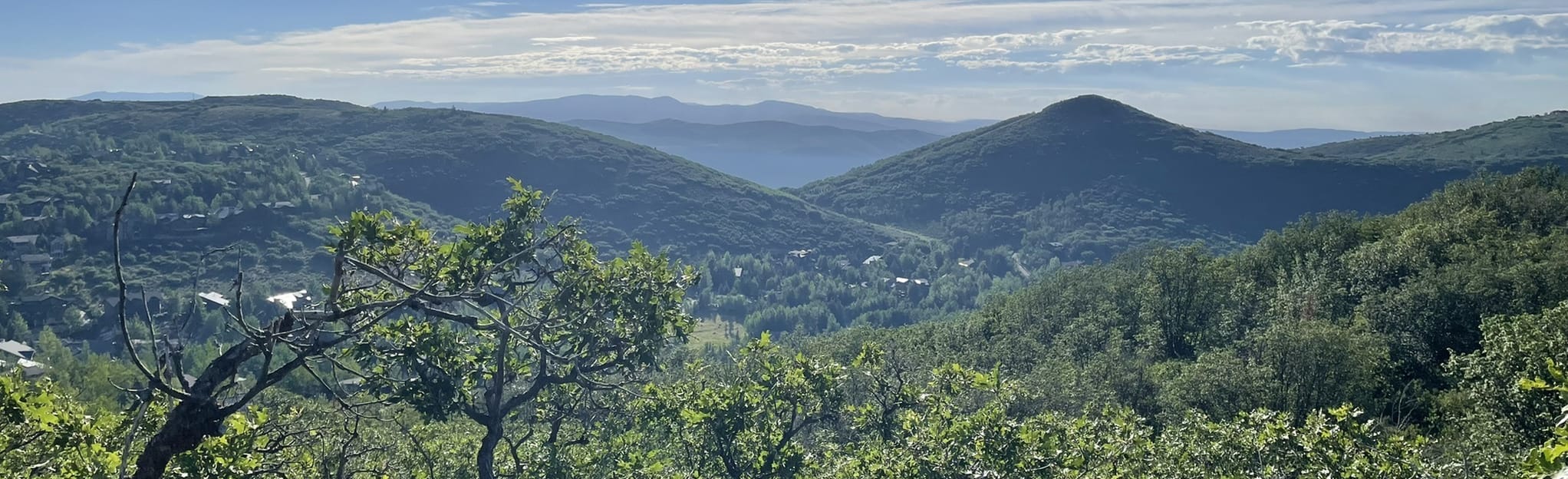 Gambel Oak Loop 606 Reviews, Map Utah AllTrails