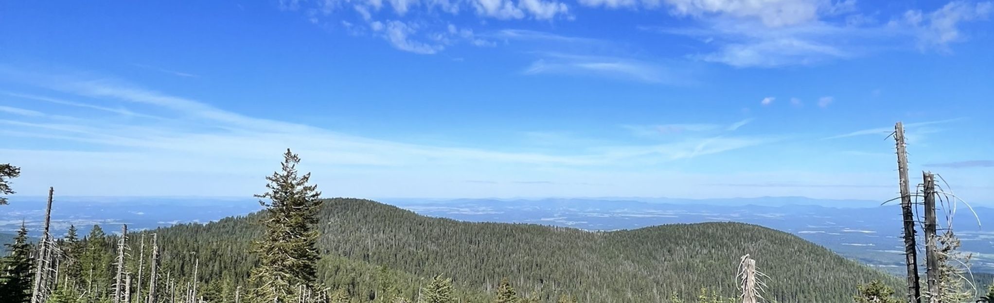 Mount Spokane Summit - Saddle Junction Trail: 88 Reviews, Map ...