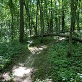 T.k. Lawless Singletrack, Michigan - 180 Reviews, Map 