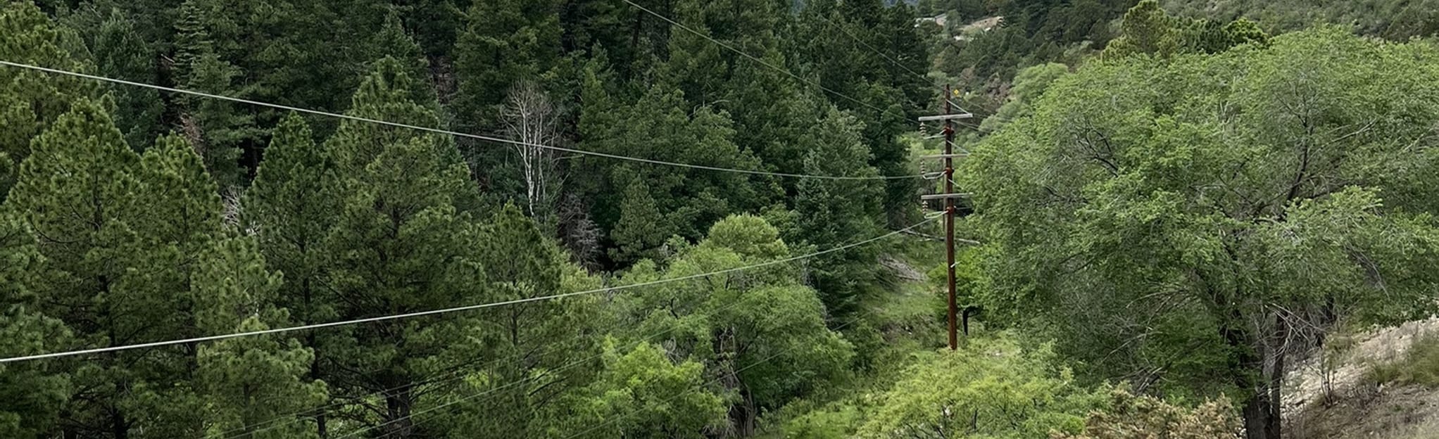 Switchback and Old Cloudcroft Highway Trail 459 Reviews, Map New