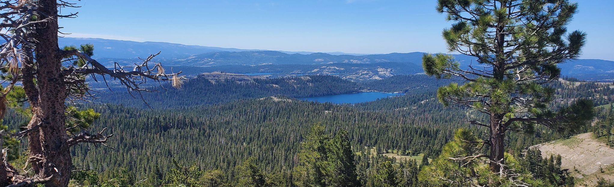 Wheeler Lake 175 Reviews, Map California AllTrails