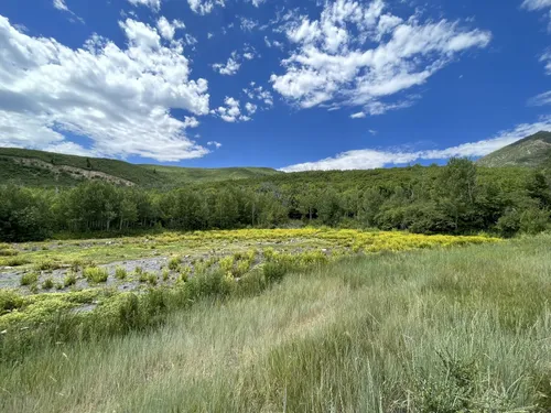 10 Best Hikes and Trails in Wasatch Mountain State Park AllTrails