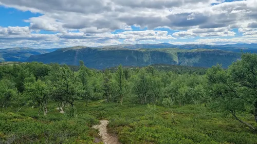 Best 10 Hiking Trails In Rondane National Park | AllTrails