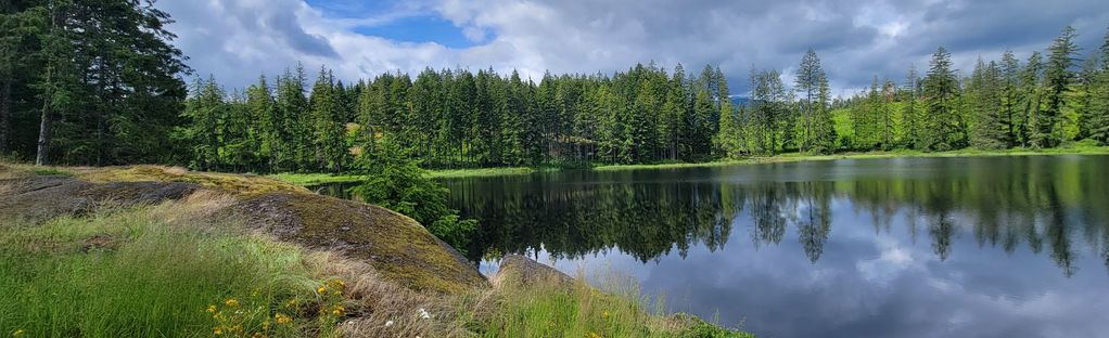 Weerkaatsing Richtlijnen haspel Timberland Lake via Haslam Trail: 104 Reviews, Map - British Columbia,  Canada | AllTrails