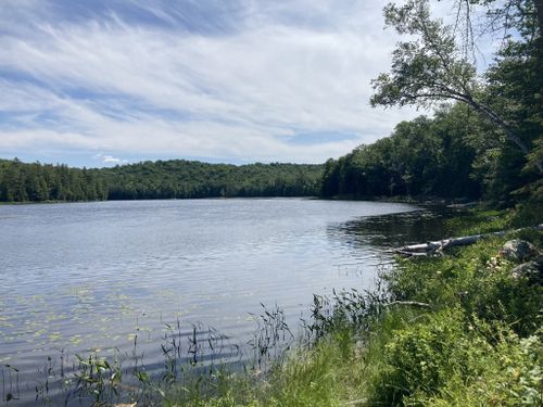 Best 10 Hikes and Trails in Wilcox Lake Wild Forest | AllTrails