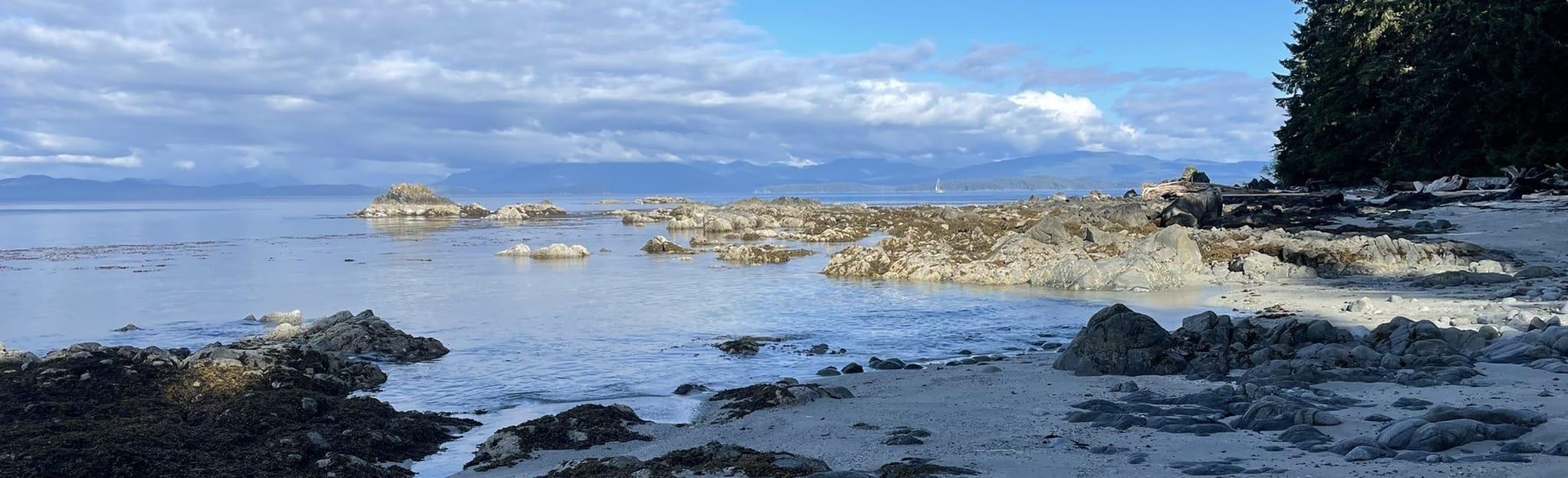 Effingham Island Trail, British Columbia, Canada - 3 Reviews, Map ...